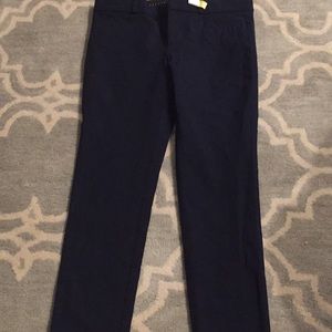 Banana Republic Sloan Pants (Dry Cleaned)